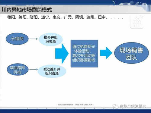 成都藍光地產觀嶺國際營銷方案報告