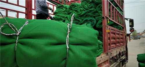 聚乙烯阻燃蓋土防塵網